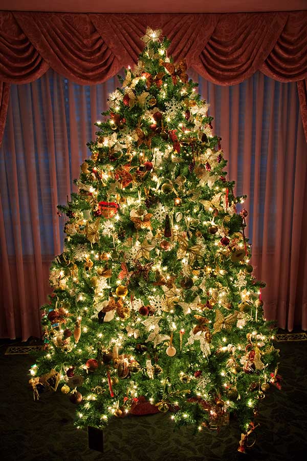 The Devils' Advocate : Christmas Trees: Real or Artificial?