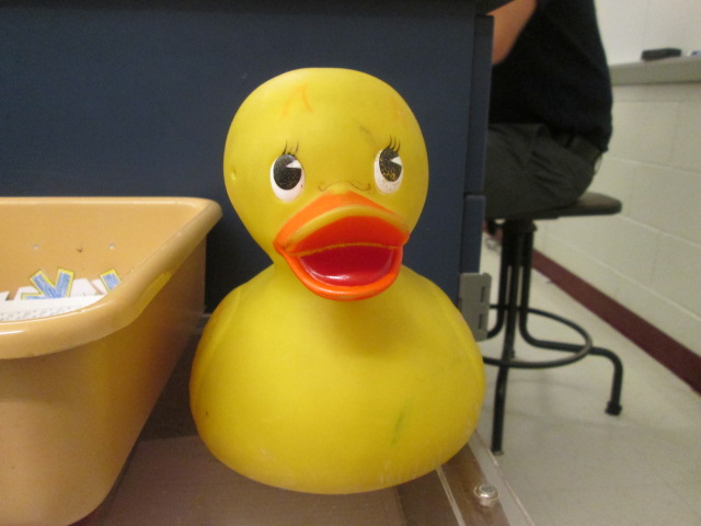 Room 120: Mr. Goldman has recently retired the beloved rubber duck, a popular favorite pass among students and teachers.  He now uses paper passes, but the rubber duck still makes appearances in the classroom.  