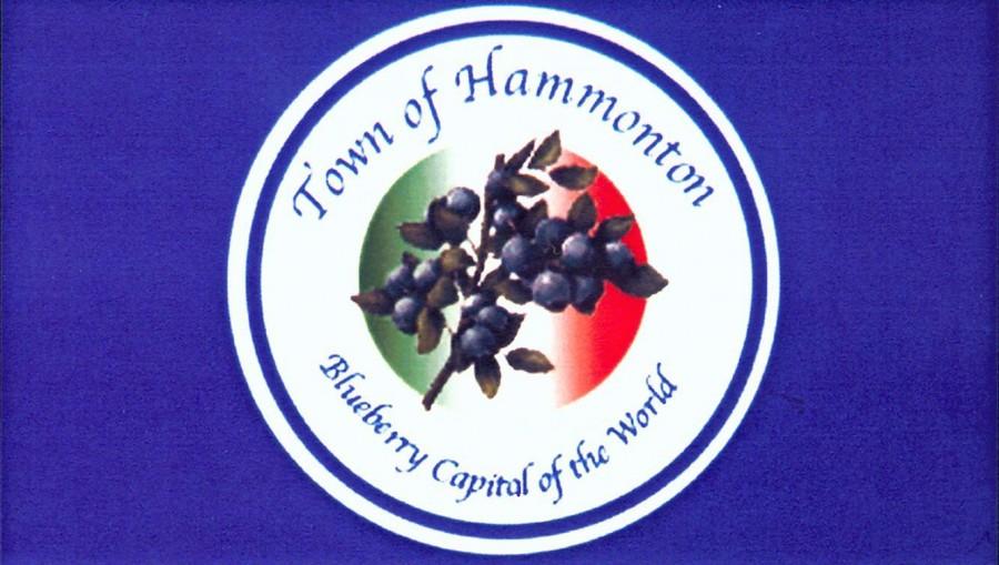 Students create ornaments to celebrate Hammontons sequicentennial