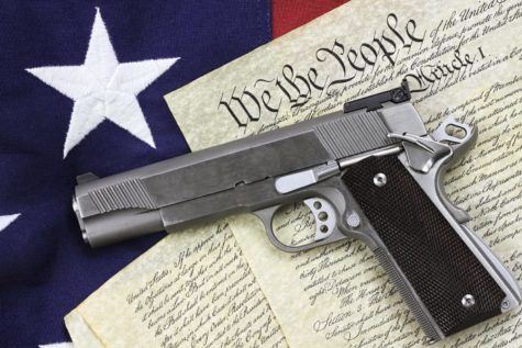Gun Control: A Reality Check