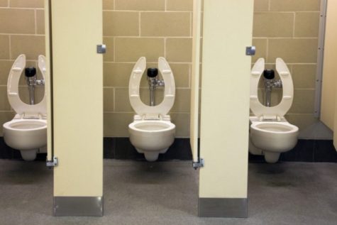 Bathroom Blues
