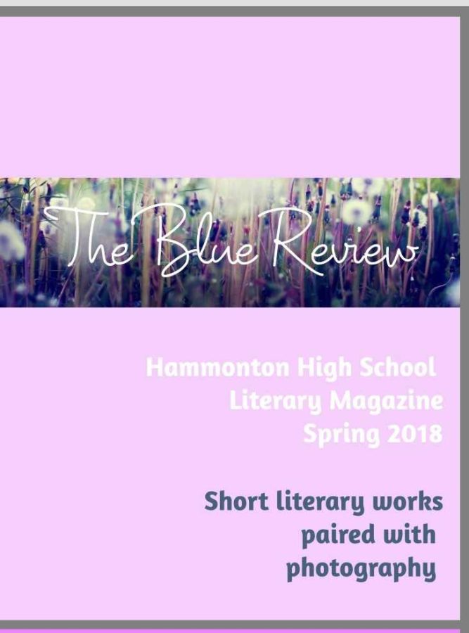 Blue Review literary magazine releases spring edition