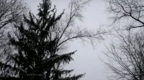 Seasonal Affective Disorder: Knowing the Effects