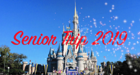 Senior Trip 2019: A Photo Gallery