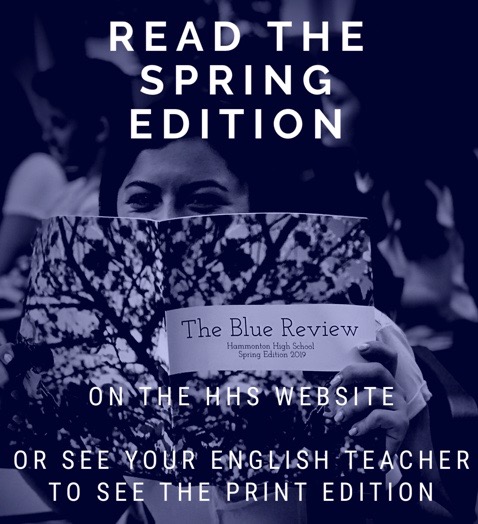 Blue Review literary magazine releases spring edition
