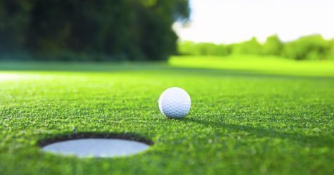 Golfers hit the mark, advance individually