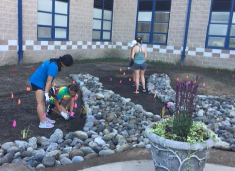 Students plant rain garden on HHS front grounds