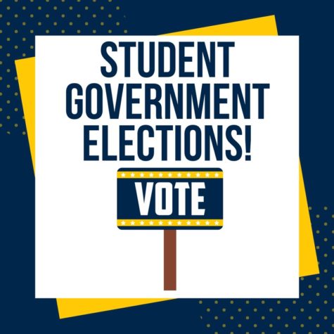 Meet the 19-20 Class Officer Candidates