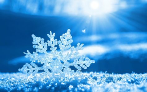 HHS reacts to the first snowfall of the school year