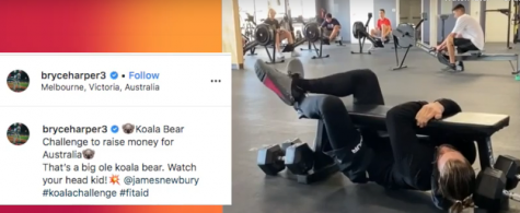 Koala Challenge raises awareness for Australian wildfire relief