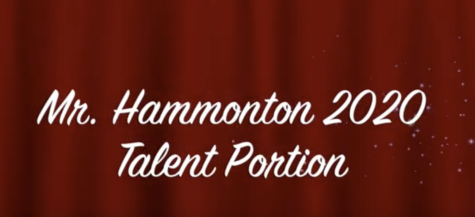 Mr Hammonton 2020: All Talent Acts