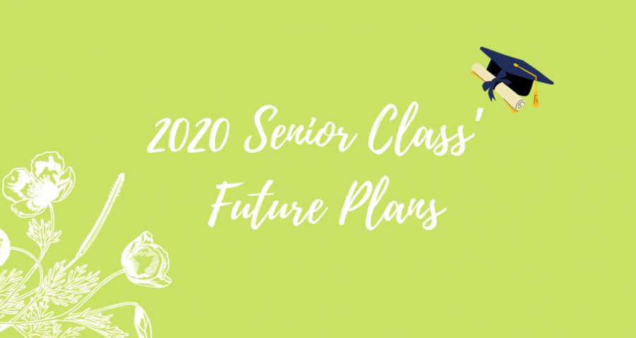 Seniors+share+future+college+plans+on+College+Shirt+Day