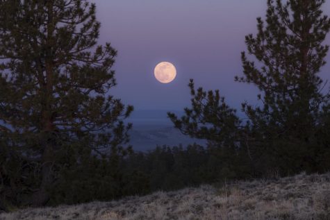 Pink moon, Pine Mountain Observatory, Oregon by Bonnie Moreland (free images) is marked with CC PDM 1.0.
