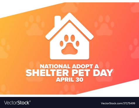 National Adopt a Shelter Pet Day. April 30. Holiday concept. Template for background, banner, card, poster with text inscription. Vector EPS10 illustration
