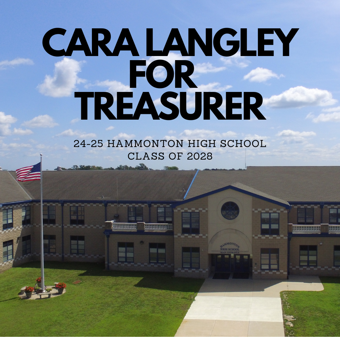 Cara Langley for Treasurer